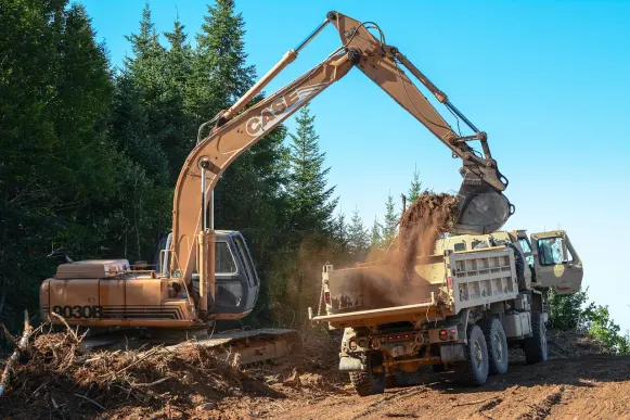 Lupin Casino Assistance